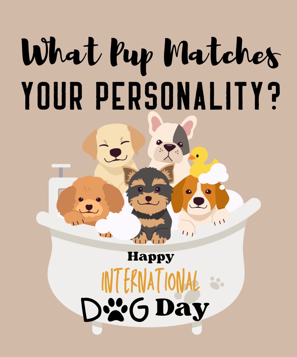 Discover 10 Different Types of Dogs and Find the Perfect Match for Your Personality