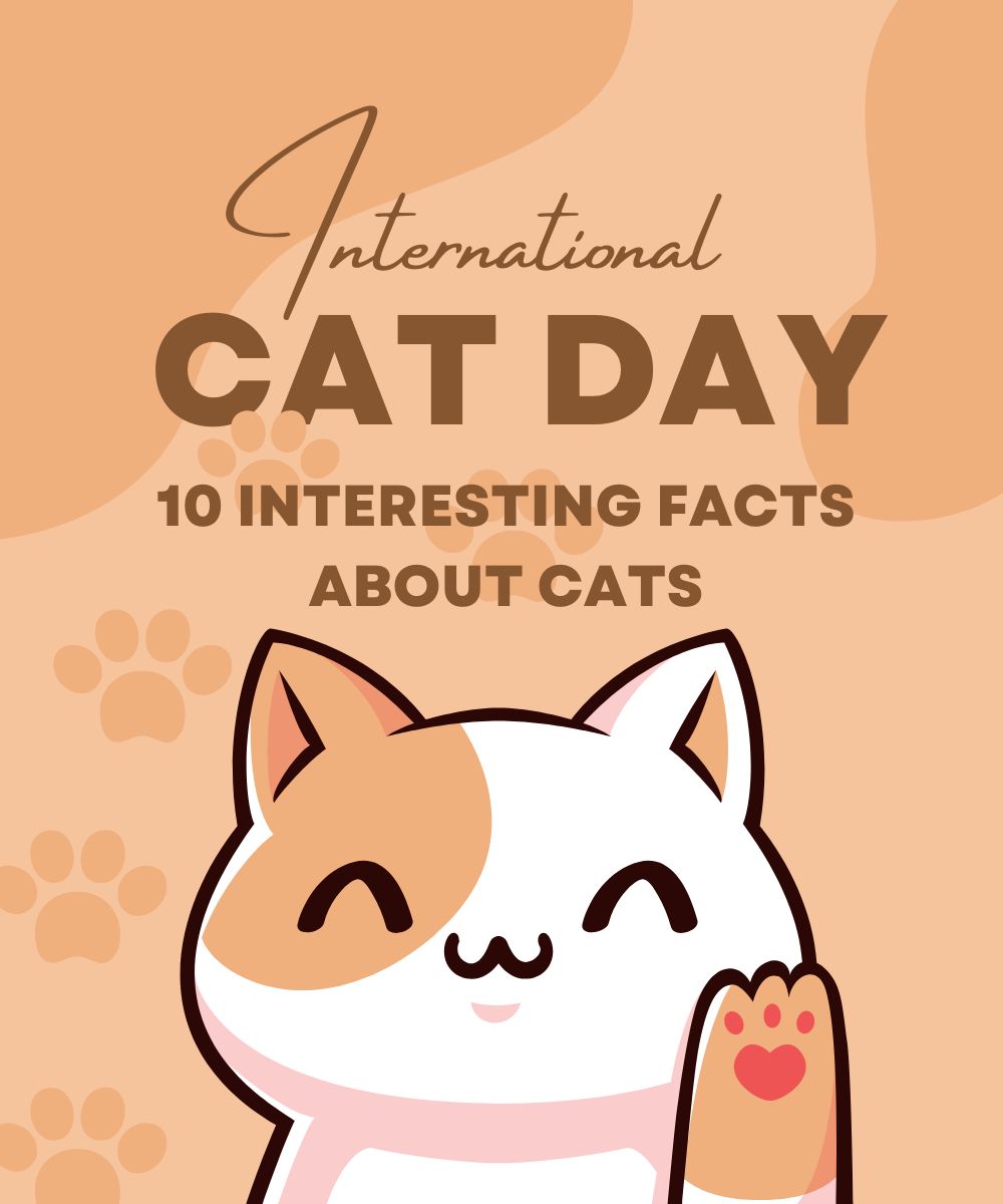 Interesting facts about cats